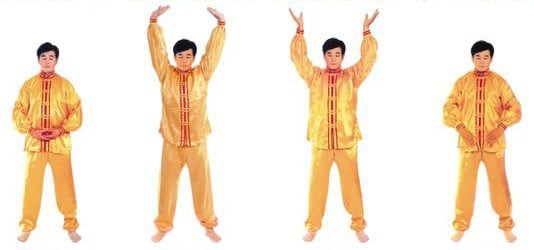 Falun Dafa 3